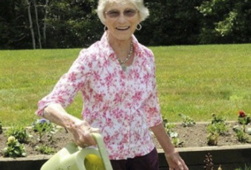 Woman watering raised garden beds