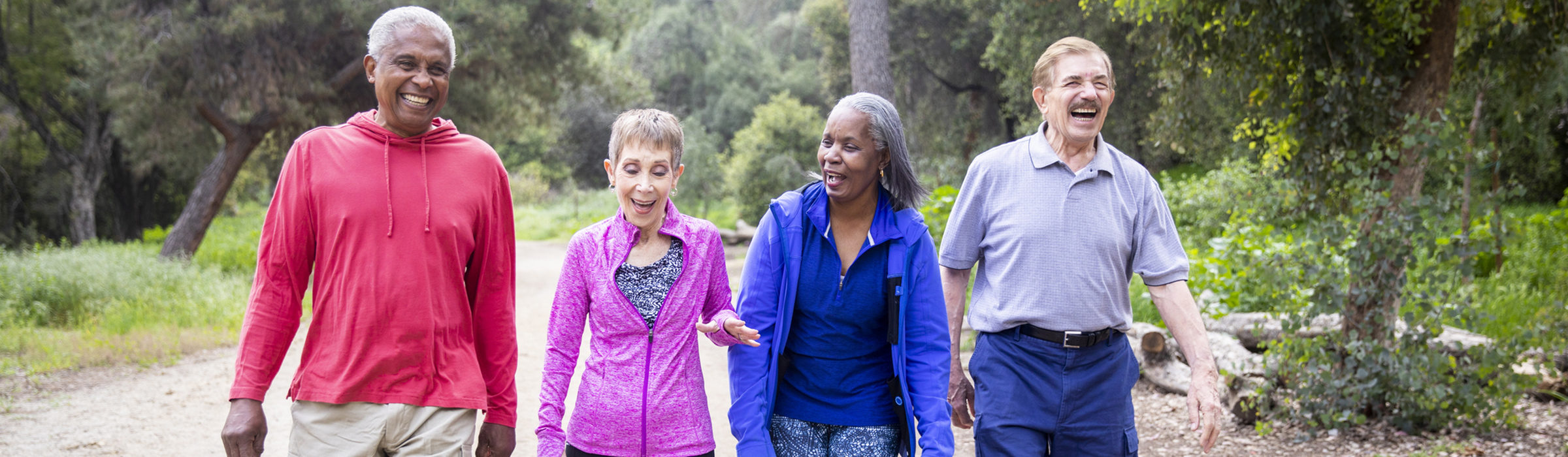 Four older adults walking outdoors
