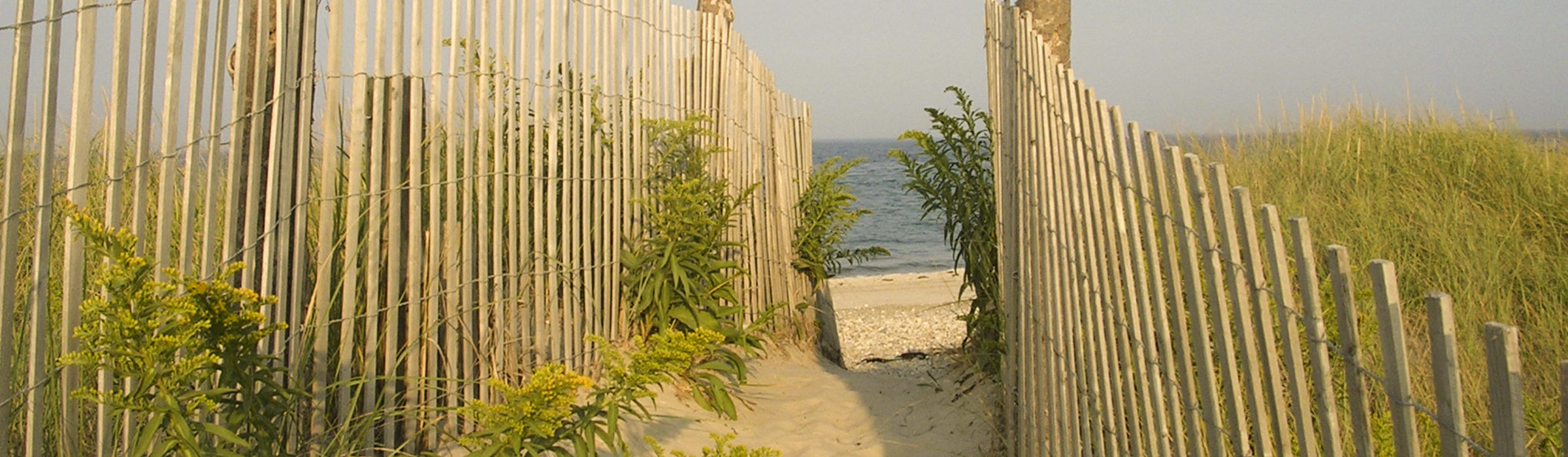 sandy walkway to the ocean