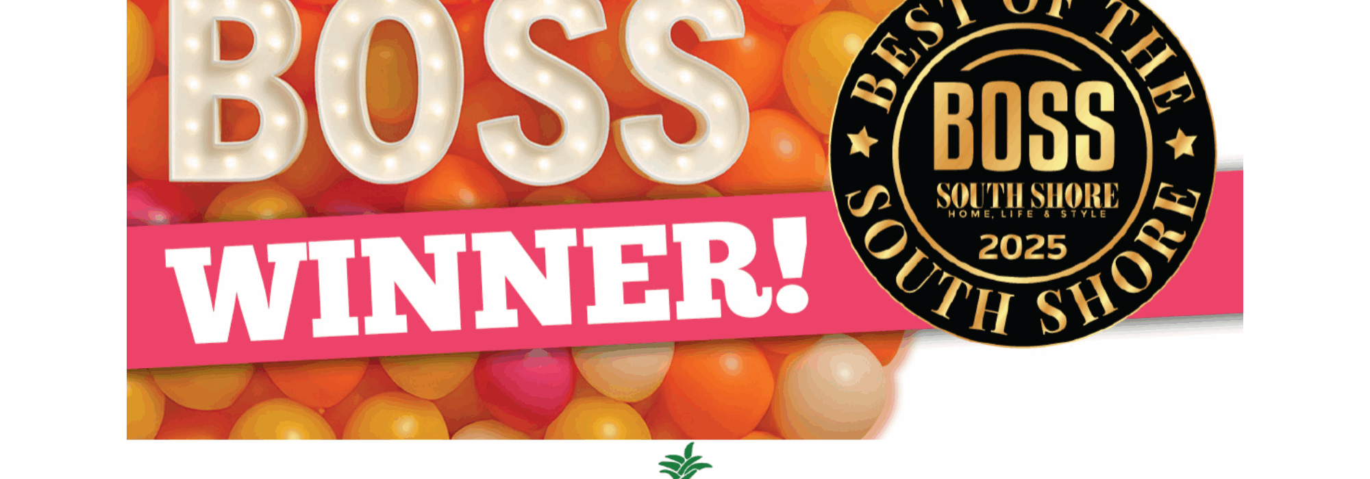 AH VAD 2025 Boss Website Header Image